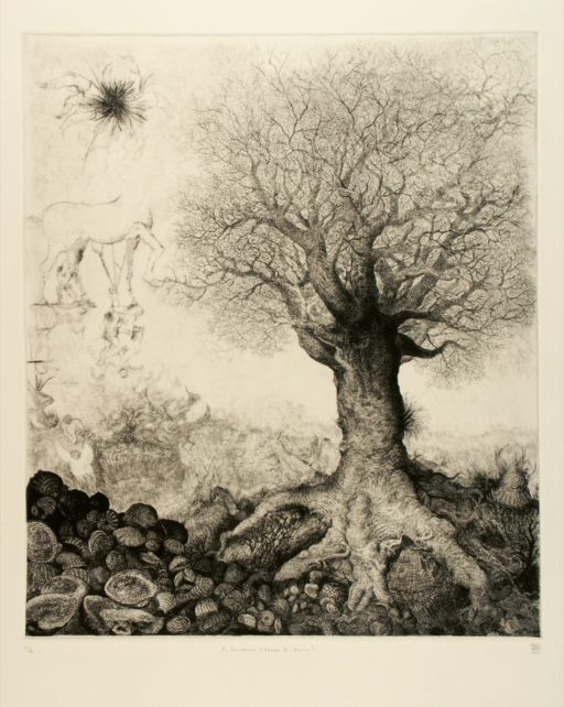 El Sembrador - estado II - Otoño