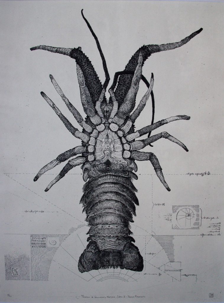 Tratado de Geometria Natural Jasus frontalis