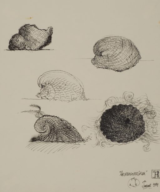 Archeogastrópoda