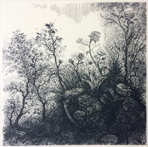 En el jardín - estado II