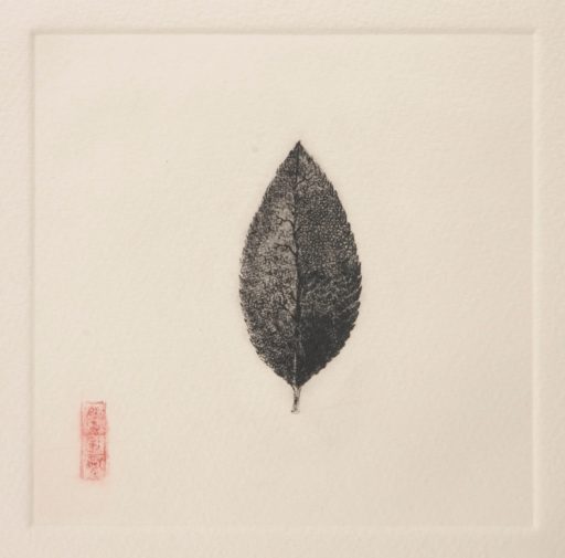 Haikú del té