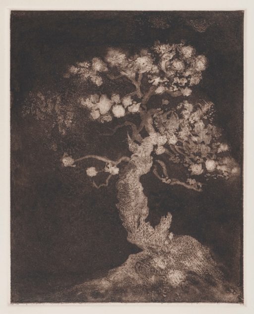 La Morada de la Fantasía