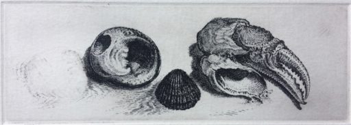Vanitas